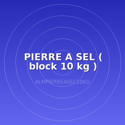 PIERRE A SEL ( block 10 kg )