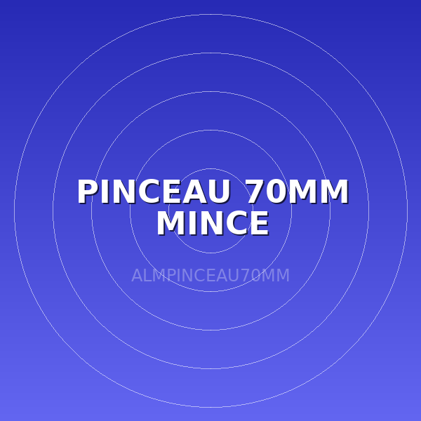 PINCEAU 70MM MINCE