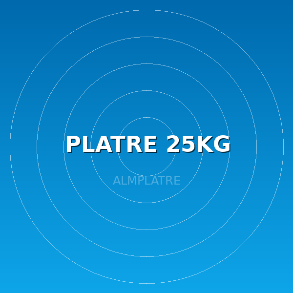 PLATRE 25KG