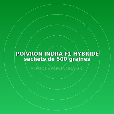 POIVRON INDRA F1 HYBRIDE sachets de 500 graines