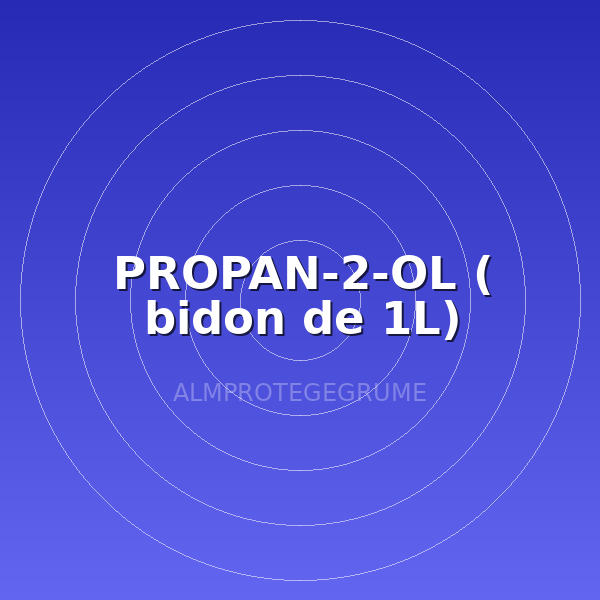 PROPAN-2-OL ( bidon de 1L)