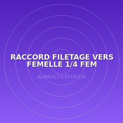 RACCORD FILETAGE VERS FEMELLE 1/4 FEM